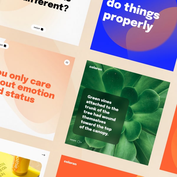 Brand Web Experience